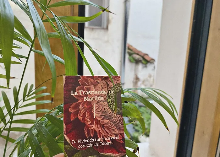 La Trastienda De Matilde