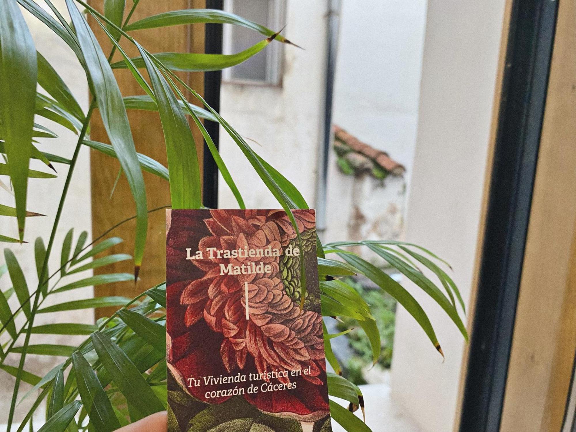 La Trastienda De Matilde * Caces